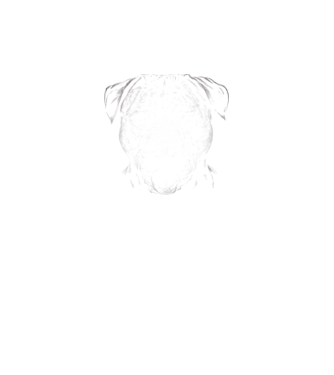 Pitbull  minta fekete/piros pólón