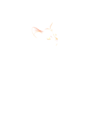Cat minta fekete pólón