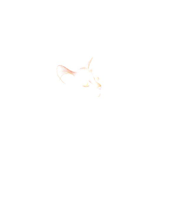Cat minta fekete pólón