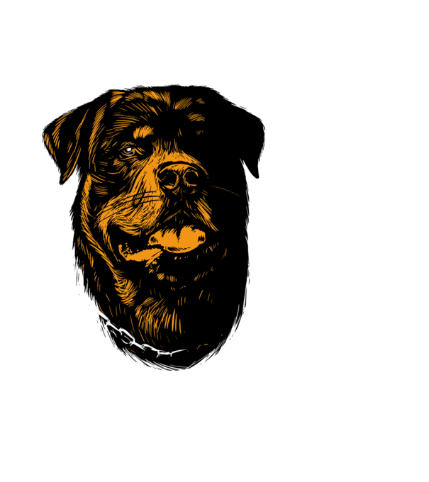 Rottweiler minta fekete pólón
