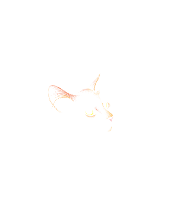 Cat minta fekete pólón