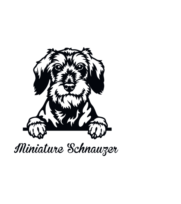 Miniature schnauzer zsebminta minta világoskék pólón