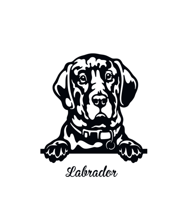 Labrador zsebminta minta fehér pólón