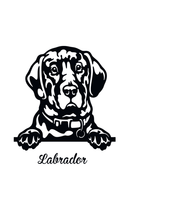 Labrador zsebminta minta világoskék pólón