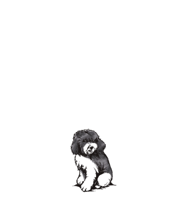 Harlequin Poodle minta fehér pólón