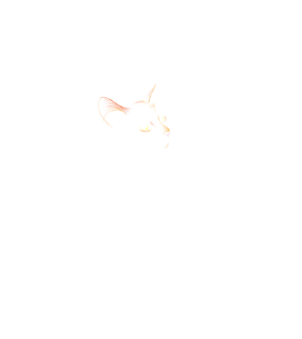 Cat minta fekete pólón