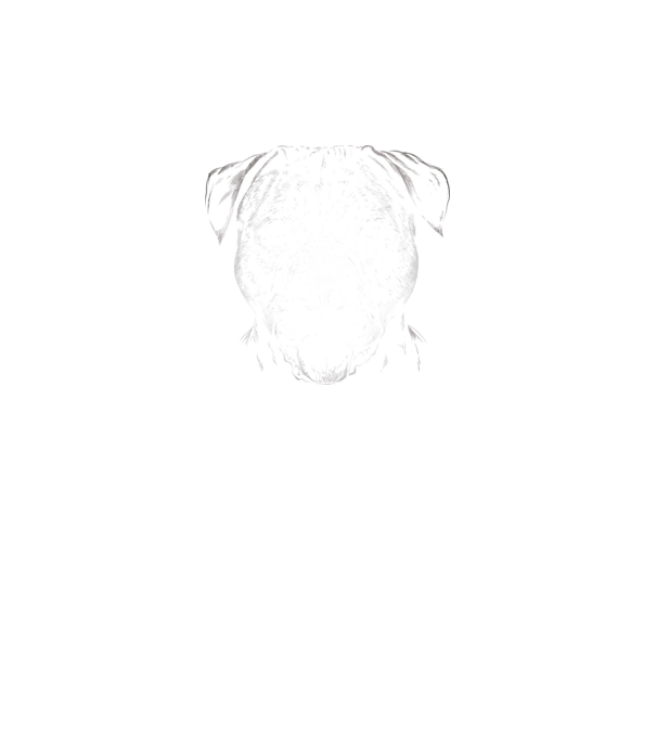 Pitbull  minta fekete pólón