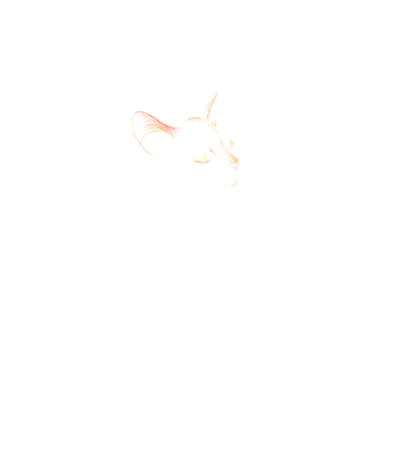 Cat minta fekete pólón