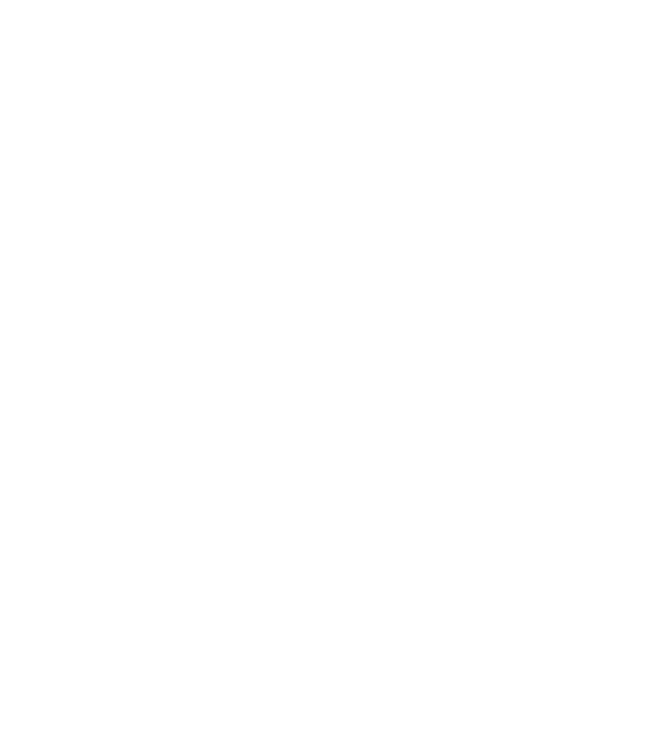 Bosses are born in December 2 minta szürke pólón