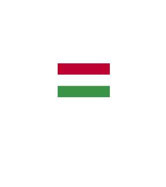 Magyar Zászló minta piros pólón