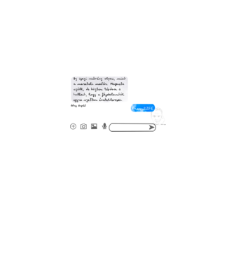 Free SZFE minta szürke pólón