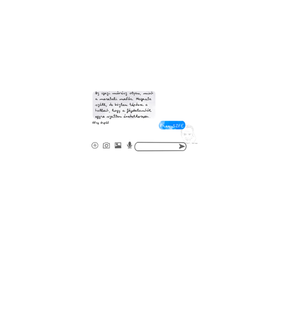 Free SZFE minta szürke pólón