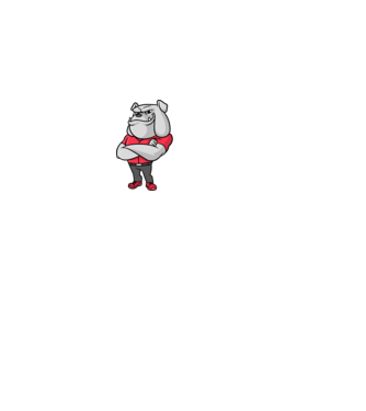 Bull dog 1 minta fekete pólón