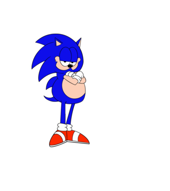 SonicGarfield minta fekete pólón