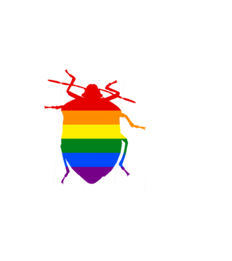 Pride poloska minta fekete pólón