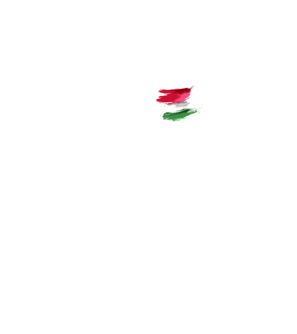 Magyar zászló minta fekete pólón