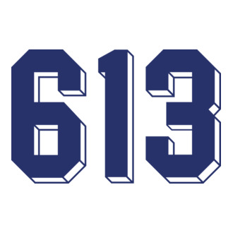 613 kék-fehér póló minta