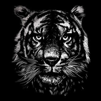 Monokróm tigris póló minta