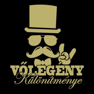 Vőlegény különítménye póló minta