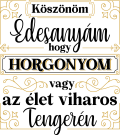 images/mymoments/136/04_bogre_hatoldala/horgonyom-az-elet-viharos-tengeren_trimmed.png