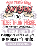 images/mymoments/136/04_bogre_hatoldala/tuzbe-mennek-erted_trimmed.png