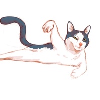 Annamari Cat Design Onjo Annamari Cat Design Onjo