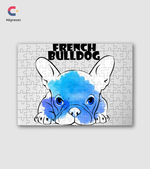 Francia bulldog4 minta fehér pólón