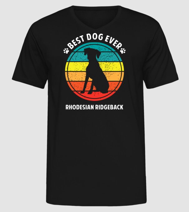 Rhodesian Ridgeback minta fekete pólón