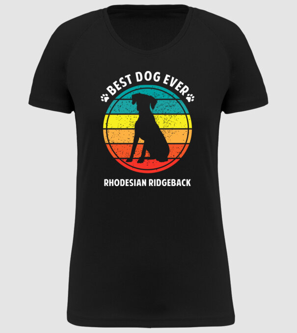 Rhodesian Ridgeback minta fekete pólón
