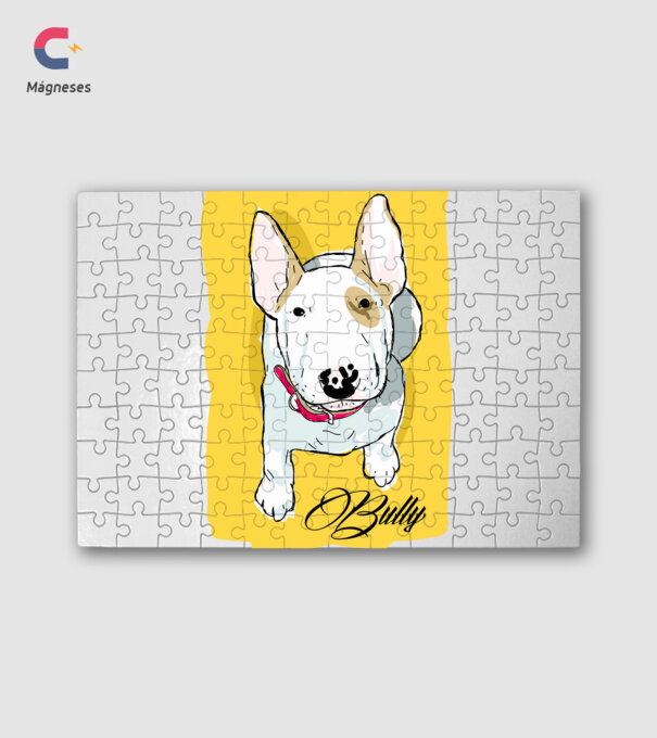 Bullterrier minta fehér pólón