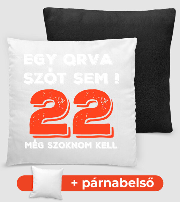 EGY QRVA SZÓT SEM, MÉG SZOKNOM KELL, 22 ÉVES SZÜLETÉSNAPRA minta fekete pólón
