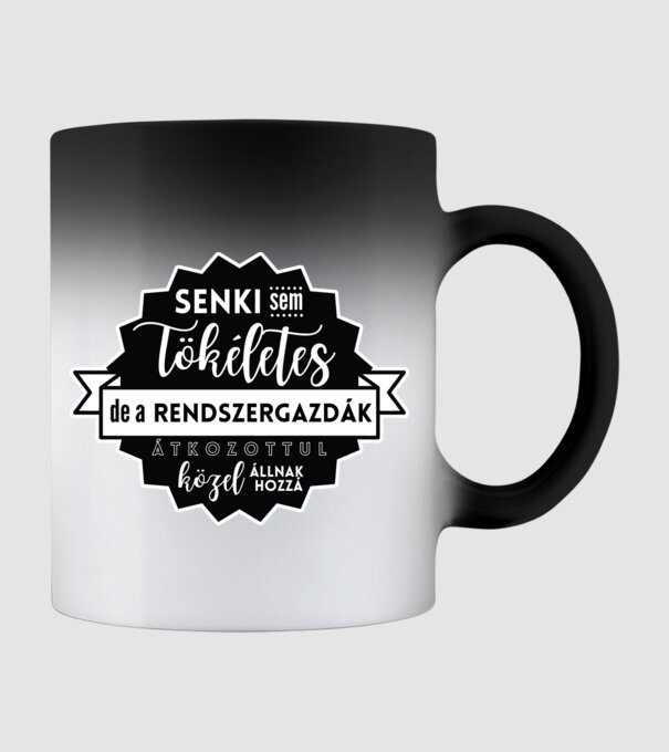 Senki sem tökéletes, de a rendszergazdák átkozottul közel állnak hozzá minta fekete pólón