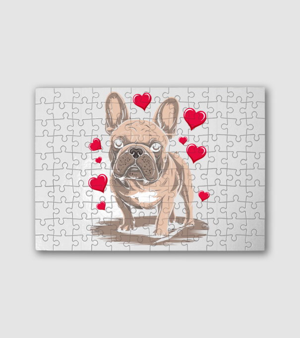 Mr French Bulldog minta fehér pólón