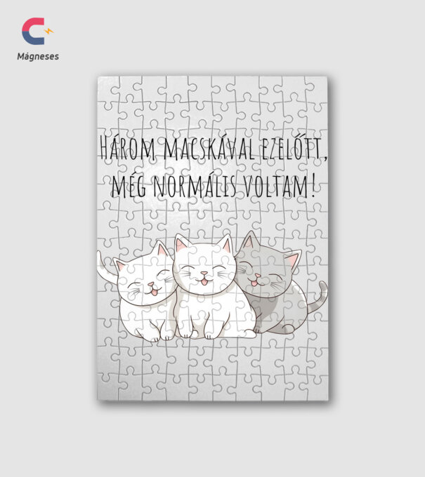 Három macskával ezelőtt még normális voltam! minta fehér pólón