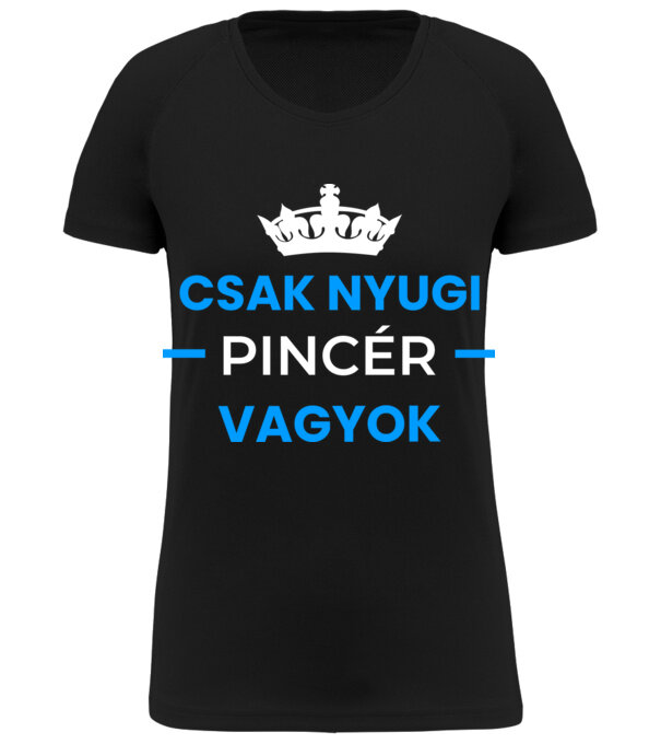  minta  pólón