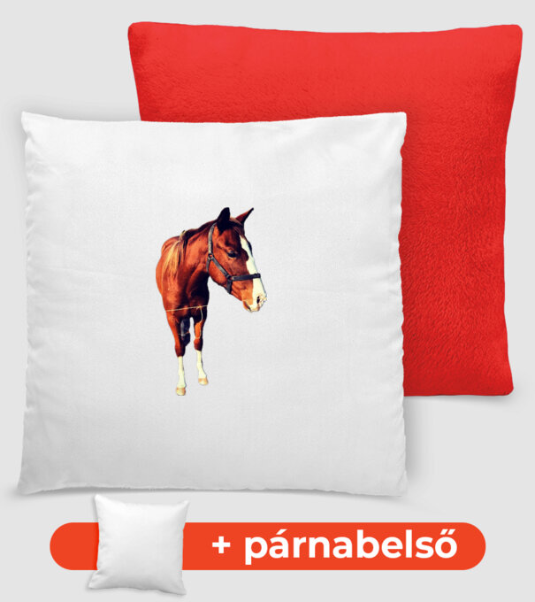 Paripa minta piros pólón