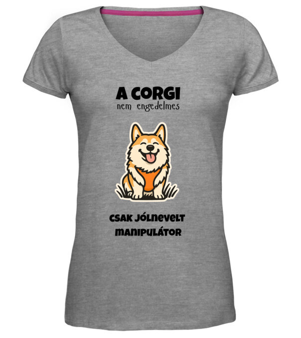  minta  pólón