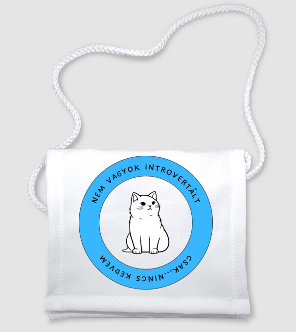Nem vagyok introvertált, csak... nincs kedvem. minta fehér pólón