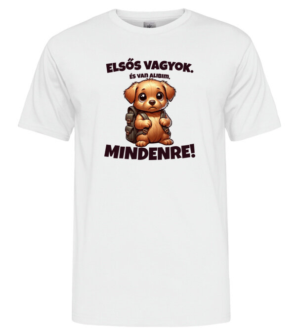  minta  pólón