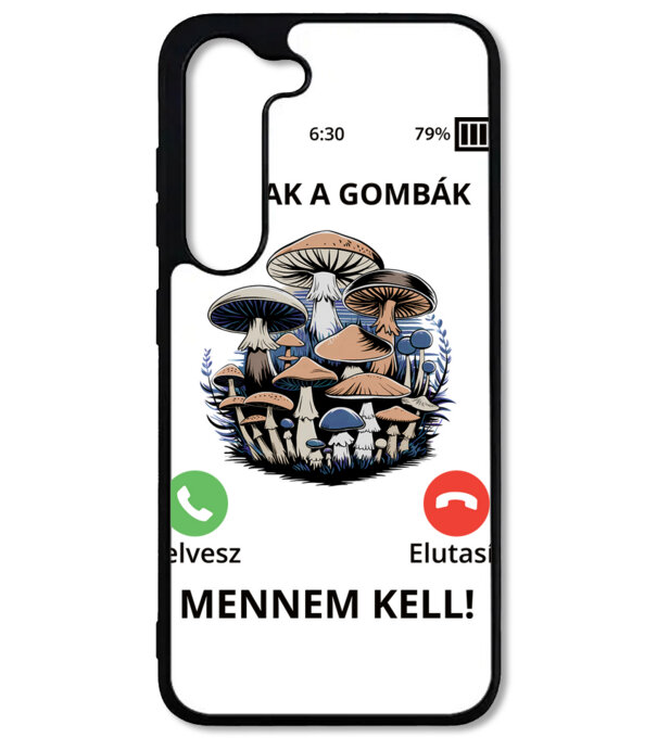  minta  pólón