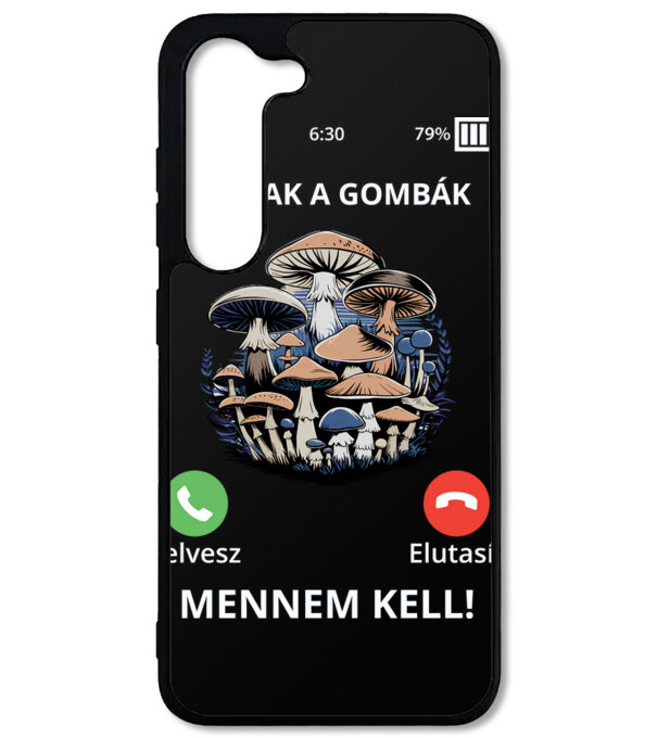  minta  pólón