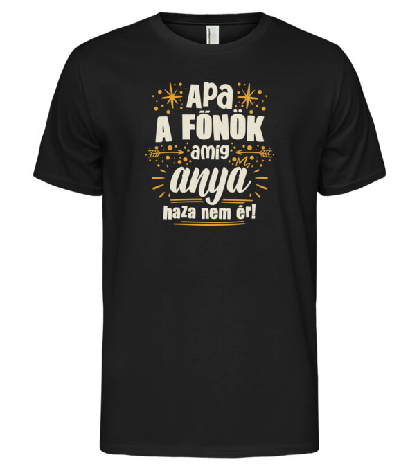  minta  pólón