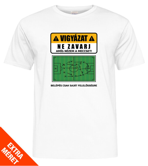  minta  pólón
