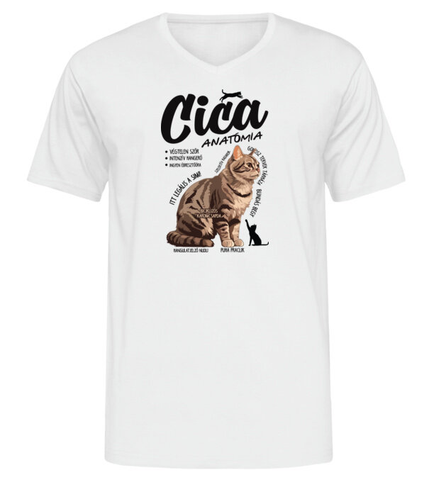  minta  pólón