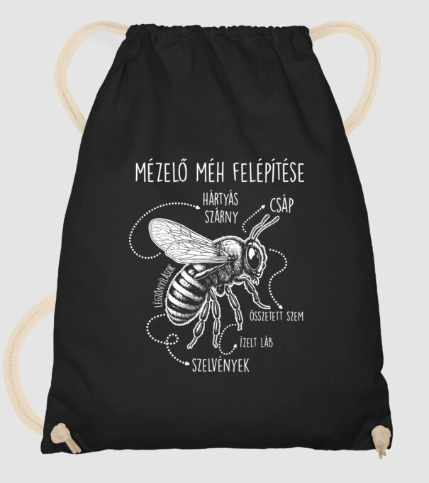 Mézelő méh felépítése fehér minta fekete pólón