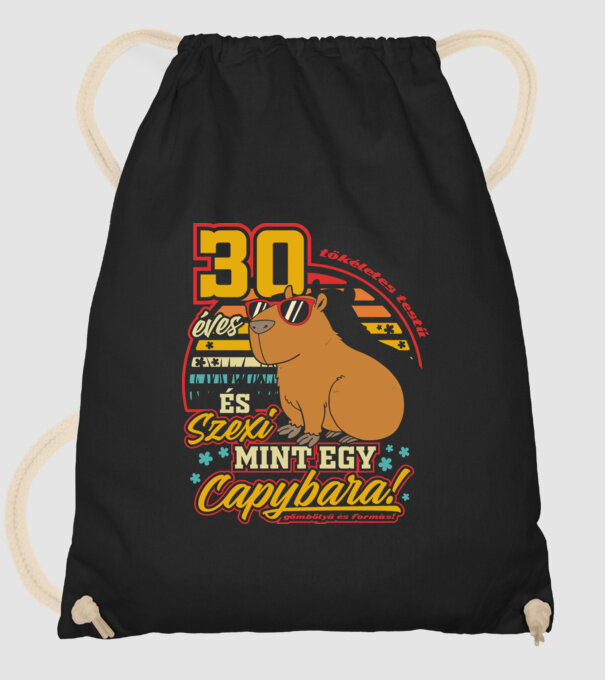 Szexi Szülinapos Capybara 30 éves minta fekete pólón
