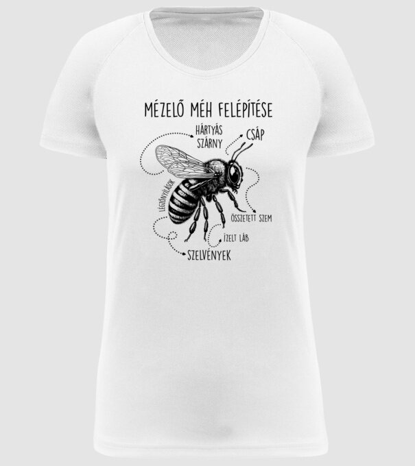 Mézelő méh felépítése fekete minta fehér pólón