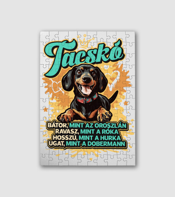 Bátor Tacsi minta fehér pólón