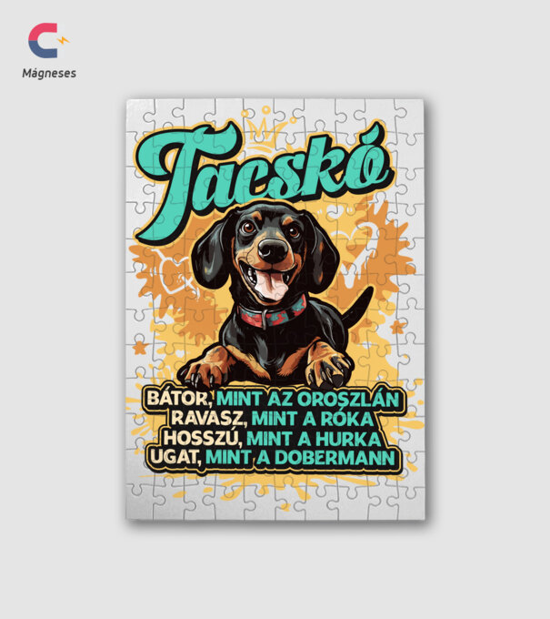Bátor Tacsi minta fehér pólón