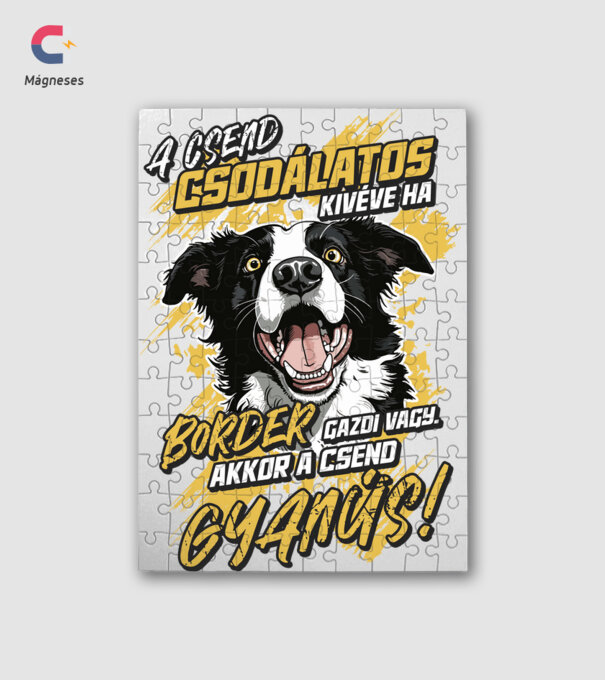 Border Collie Gyanús csend minta fehér pólón